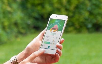 7 Lessons PokÃ©mon Go teaches about starting a Business - Trdinoo