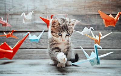 Awesome, Highly Recommended Origami Books and Reviews