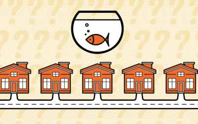 Riddle of the Week #10: Einstein