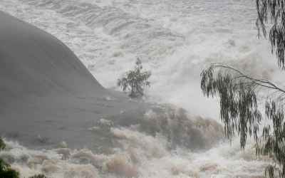 20,000 homes at risk in Australia floods as crocodiles, snakes wash up