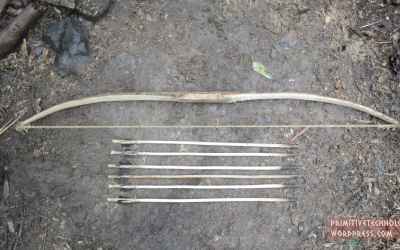 Primitive Technology: Bow and Arrow